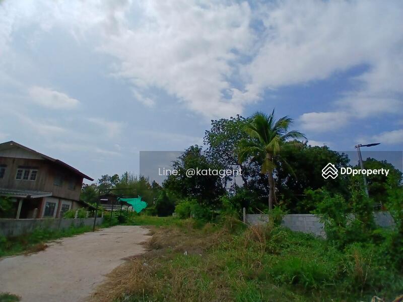 For Sale - Land Phongthong ,Roi-Ed, Roi Et