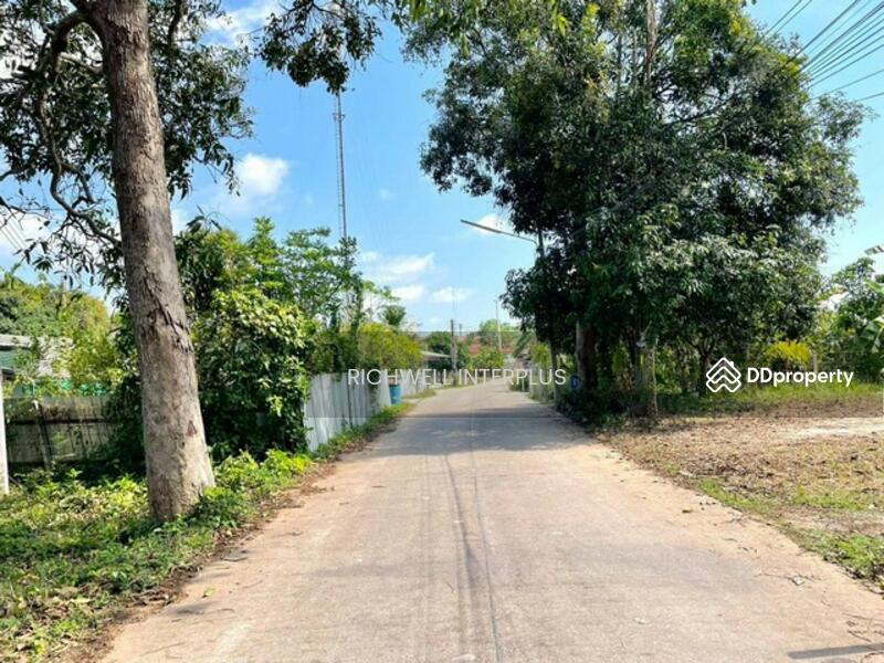 For Sale - Land for sale, filled in, next to concrete road, area 181 sq.w.,, Rayong
