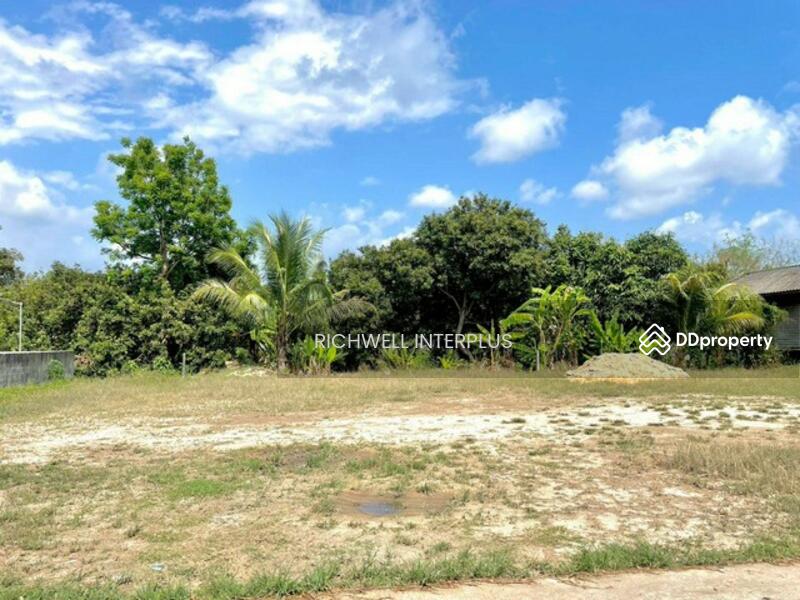 For Sale - Land for sale, filled in, next to concrete road, area 181 sq.w.,, Rayong