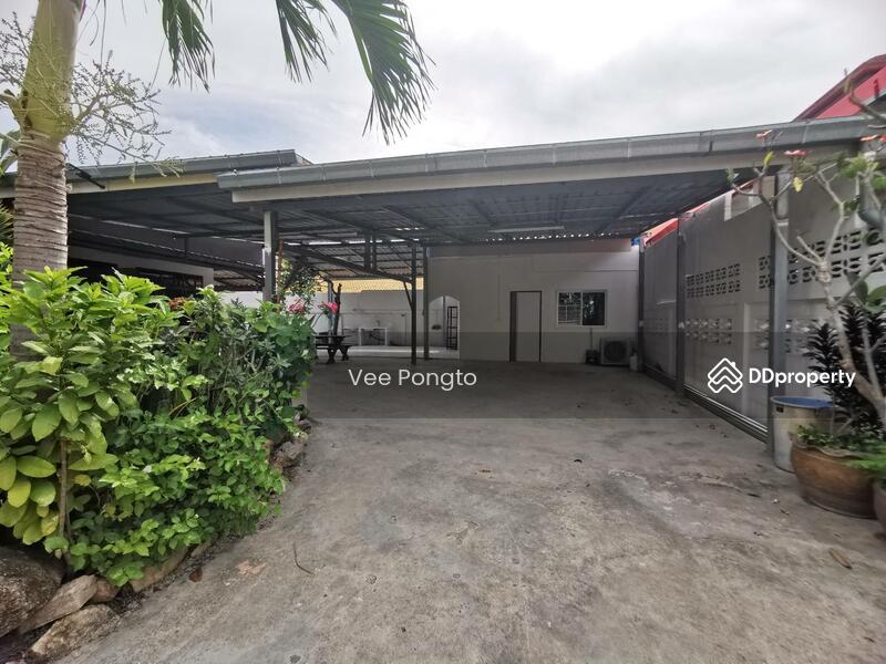 ให้เช่า - House for Sale and Rent Close to Klai Kangwon Palace, ประจวบคีรีขันธ์