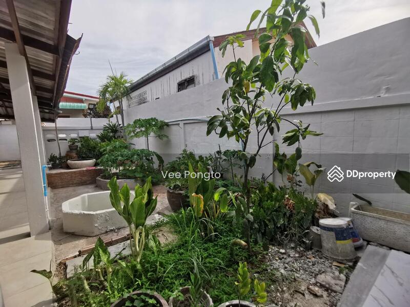 For Rent - House for Sale and Rent Close to Klai Kangwon Palace, Prachuap Khiri Khan