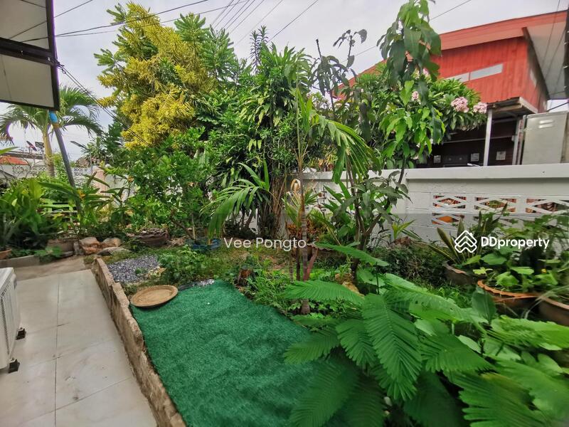 For Rent - House for Sale and Rent Close to Klai Kangwon Palace, Prachuap Khiri Khan