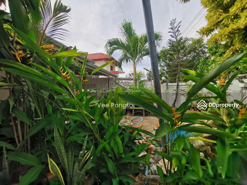 For Rent - House for Sale and Rent Close to Klai Kangwon Palace, Prachuap Khiri Khan