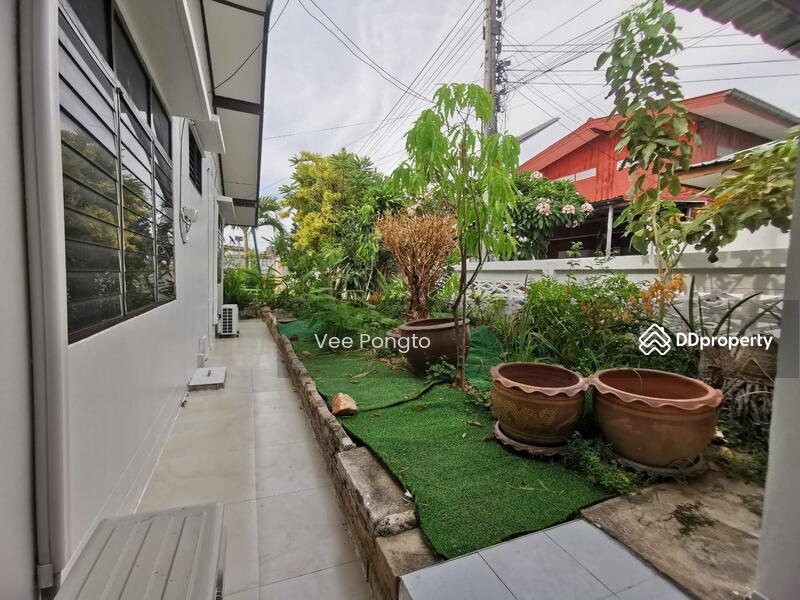 For Rent - House for Sale and Rent Close to Klai Kangwon Palace, Prachuap Khiri Khan