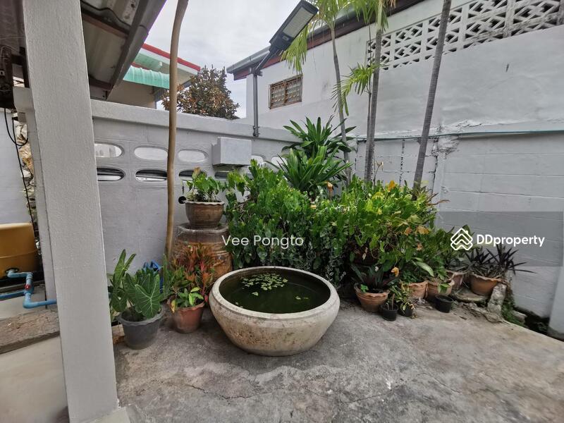For Rent - House for Sale and Rent Close to Klai Kangwon Palace, Prachuap Khiri Khan