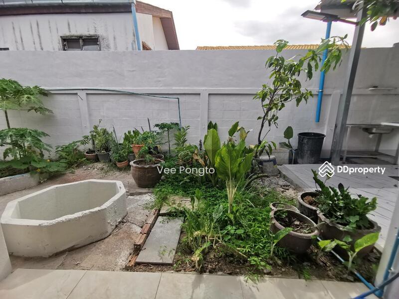 ให้เช่า - House for Sale and Rent Close to Klai Kangwon Palace, ประจวบคีรีขันธ์