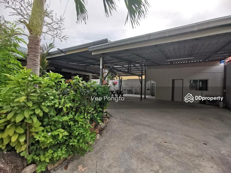 ให้เช่า - House for Sale and Rent Close to Klai Kangwon Palace, ประจวบคีรีขันธ์