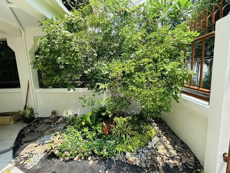townhome sukhumvit 31, Bangkok, สุขุมวิท 31, Khlongtoei Nua, Watthana, Bangkok, 5 Bedrooms, 400 sqm, Townhouse For Rent, by TREBA - Ratthanatorn (Jenny), 11883390 - DDproperty.com