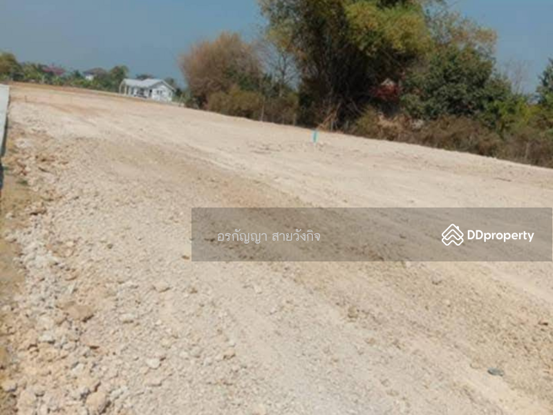 For Sale - Land for sale 1 rai 31 square wah, Buang Khang, San Kamphaeng, Chiang Mai (ID:262LS), Chiang Mai