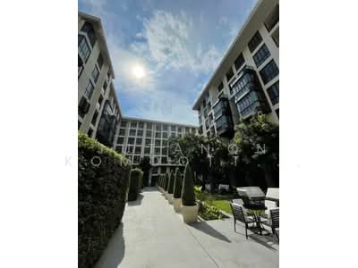 ขาย - The Reserve Sukhumvit 61 : เดอะ รีเซิร์ฟ สุขุมวิท 61, กรุงเทพ