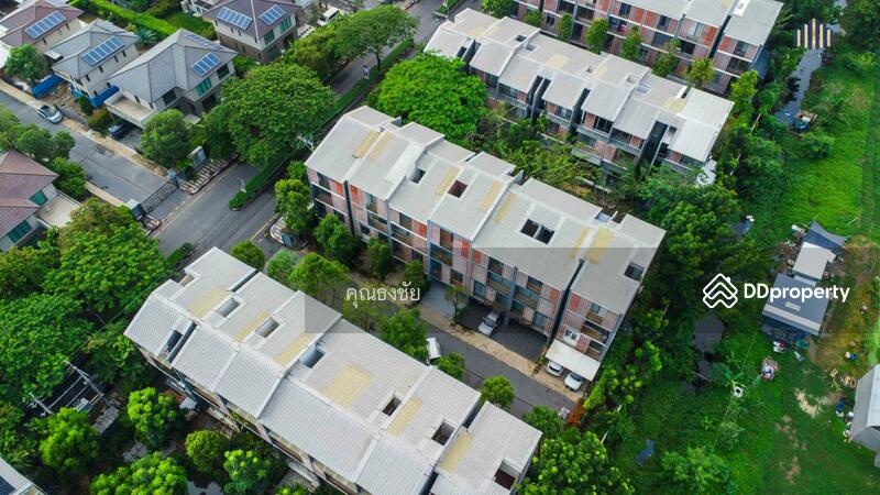 For Sale - Siamese Blossom @ Fashion, Bangkok