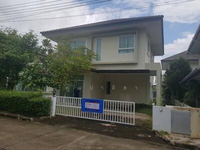 ขาย - สุวรรณรายา, เชียงราย