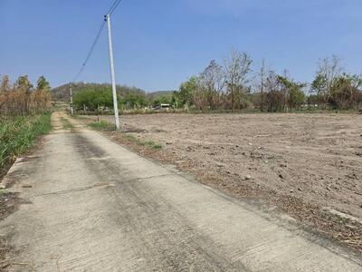 ขาย - สระบุรี ชำผักแพว แก่งคอย สระบุรี, สระบุรี