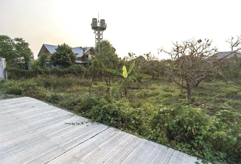 ขาย - Karnkanok Ville 14 San Kamphang : กาญจน์กนกวิลล์ 14 น้ำโฮม, เชียงใหม่