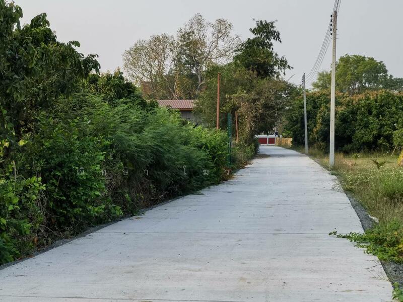 ขาย - Karnkanok Ville 14 San Kamphang : กาญจน์กนกวิลล์ 14 น้ำโฮม, เชียงใหม่