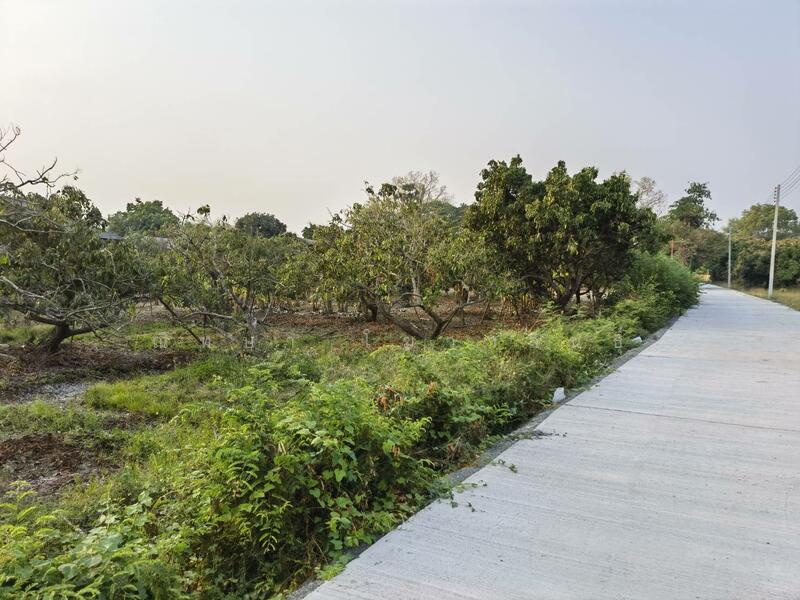 ขาย - Karnkanok Ville 14 San Kamphang : กาญจน์กนกวิลล์ 14 น้ำโฮม, เชียงใหม่