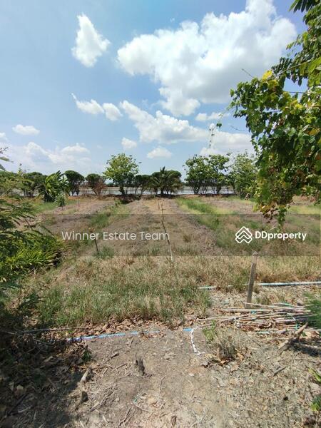 For Sale - Vacant Land 1 Rai 86 Square Wah in Phai Hu Chang Subdistrict, Bang Lane District, Nakhon Pathom, Nakhon Pathom