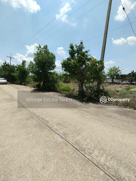 For Sale - Vacant Land 1 Rai 86 Square Wah in Phai Hu Chang Subdistrict, Bang Lane District, Nakhon Pathom, Nakhon Pathom