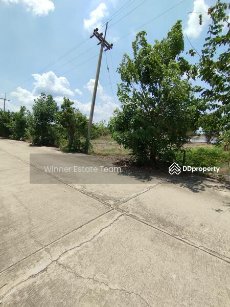 For Sale - Vacant Land 1 Rai 86 Square Wah in Phai Hu Chang Subdistrict, Bang Lane District, Nakhon Pathom, Nakhon Pathom