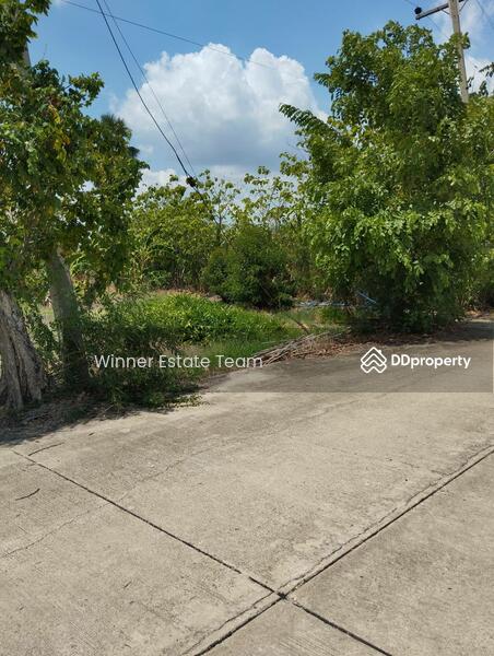 For Sale - Vacant Land 1 Rai 86 Square Wah in Phai Hu Chang Subdistrict, Bang Lane District, Nakhon Pathom, Nakhon Pathom