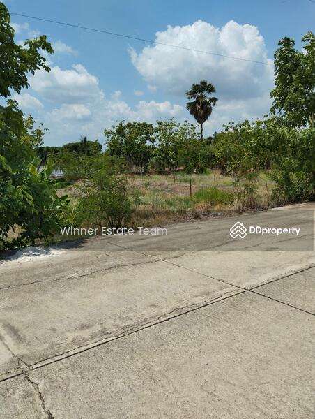 For Sale - Vacant Land 1 Rai 86 Square Wah in Phai Hu Chang Subdistrict, Bang Lane District, Nakhon Pathom, Nakhon Pathom