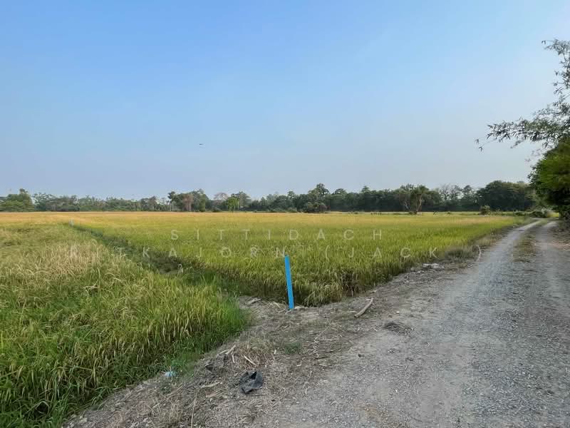 ขายที่ดิน ใกล้ร.พ.พุทธชิน ท่าทอง พิษณุโลก 4-2-45.5 ไร่, พิษณุโลก, ท่าทอง, เมืองพิษณุโลก, พิษณุโลก, 7,382 ตร.ม., ที่ดิน ขาย, โดย Sittidach Ritkajorn (Jack ), 11884925 - DDproperty.com