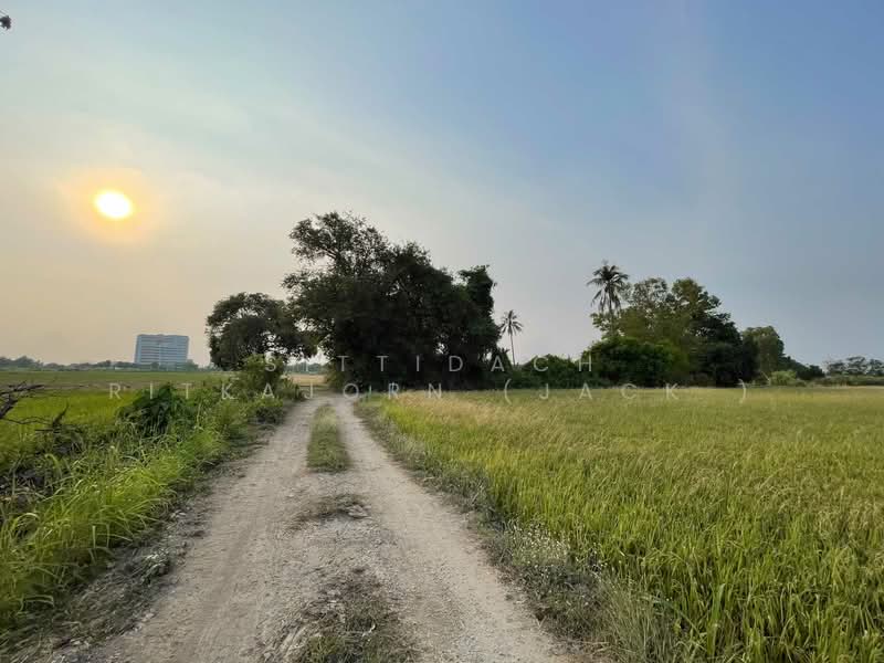 ขายที่ดิน ใกล้ร.พ.พุทธชิน ท่าทอง พิษณุโลก 4-2-45.5 ไร่, Phitsanulok, Tha-Thong, Muang Phitsanulok, Phitsanulok, , 7,382 sqm, Land For Sale, by Sittidach Ritkajorn (Jack ), 11884925 - DDproperty.com