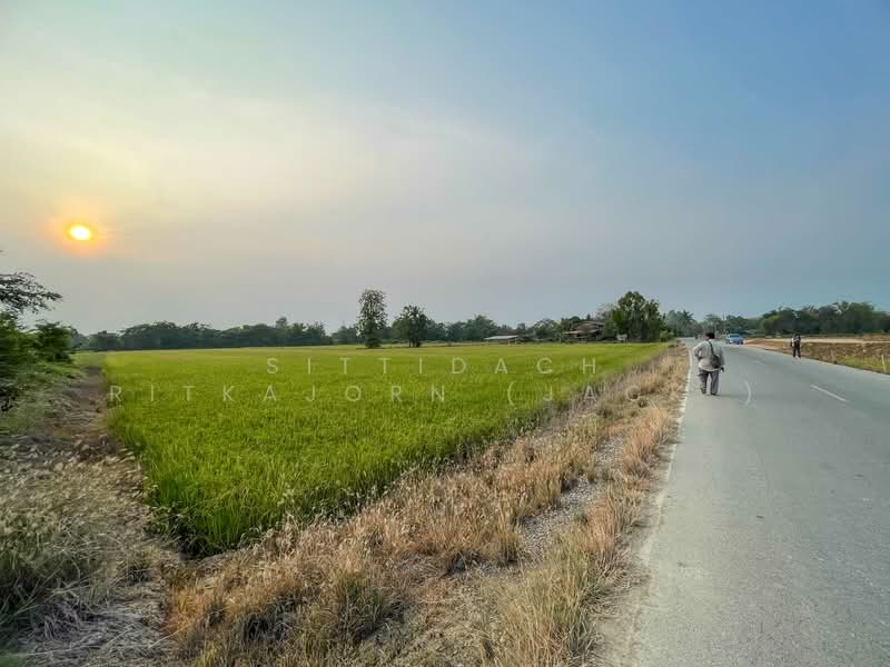 ขายที่ดิน ซ.หนองหัวยาง 13 อ.ท่าทอง จ.พิษณุโลก 9-1-43.5ไร่, Phitsanulok, Tha-Thong, Muang Phitsanulok, Phitsanulok, , 14,974 sqm, Land For Sale, by Sittidach Ritkajorn (Jack ), 11885160 - DDproperty.com