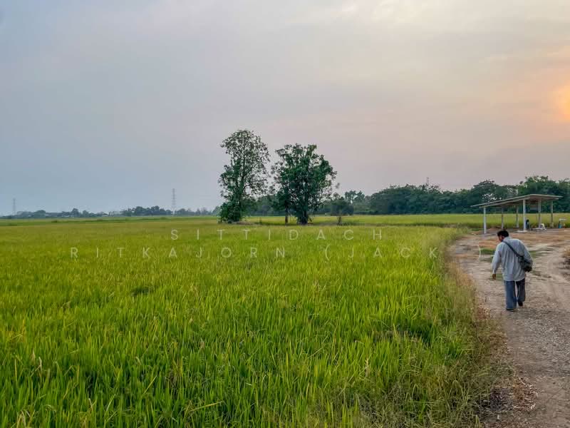 ขายที่ดิน ซ.หนองหัวยาง 13 อ.ท่าทอง จ.พิษณุโลก 9-1-43.5ไร่, พิษณุโลก, ท่าทอง, เมืองพิษณุโลก, พิษณุโลก, 14,974 ตร.ม., ที่ดิน ขาย, โดย Sittidach Ritkajorn (Jack ), 11885160 - DDproperty.com