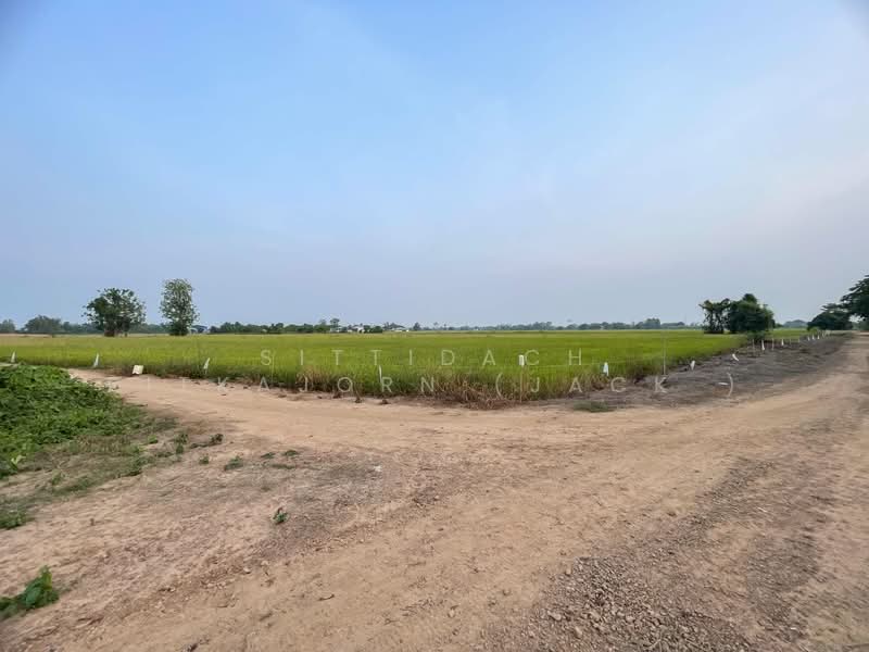 ขายที่ดิน ซ.หนองหัวยาง 13 อ.ท่าทอง จ.พิษณุโลก 9-1-43.5ไร่, Phitsanulok, Tha-Thong, Muang Phitsanulok, Phitsanulok, , 14,974 sqm, Land For Sale, by Sittidach Ritkajorn (Jack ), 11885160 - DDproperty.com