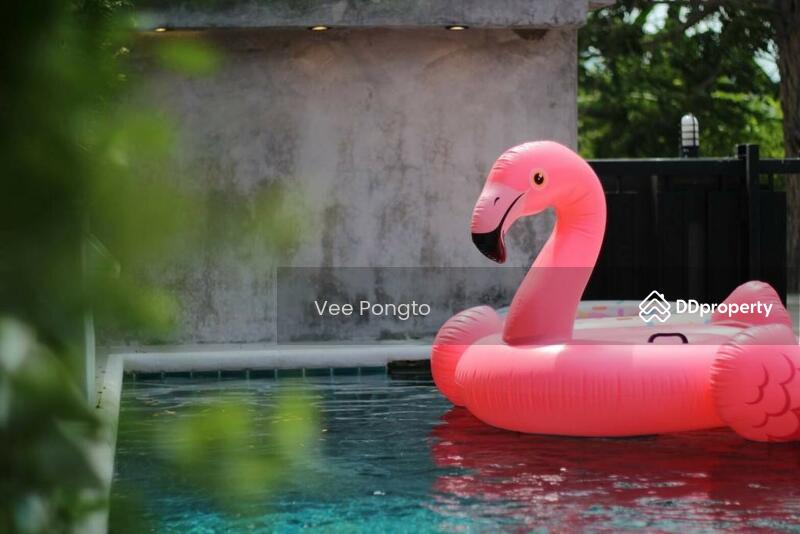 For Rent - Hua Hin Pool Villa, Prachuap Khiri Khan