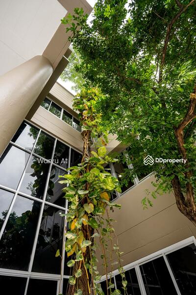 For Sale - 10900, Bangkok