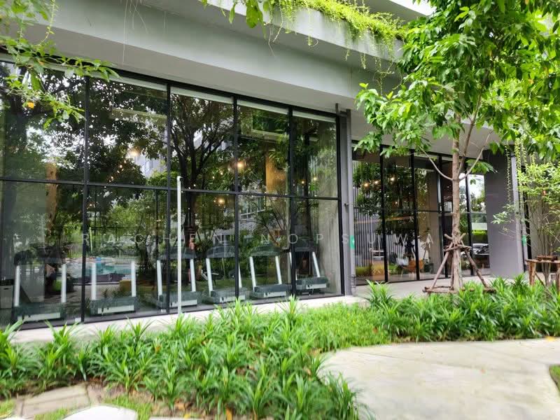 Elio Del Moss Phaholyothin 34, Bangkok, Soi Phahonyothin 34 Yaek 1, Sena Nikhom, Chatuchak, Bangkok, 1 Bedroom, 35 sqm, Condo For Sale, by Rachen Nopsuwan, 11887276 - DDproperty.com