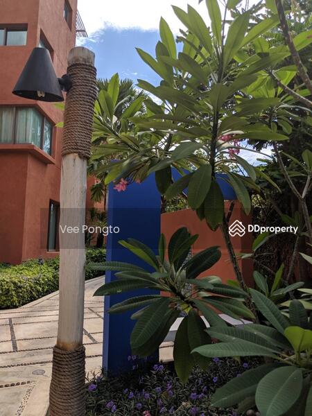 ขาย - Las Tortugas Condo : ลาส ตอร์ตูกัส คอนโด, ประจวบคีรีขันธ์
