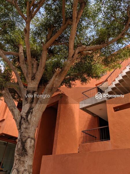 ขาย - Las Tortugas Condo : ลาส ตอร์ตูกัส คอนโด, ประจวบคีรีขันธ์
