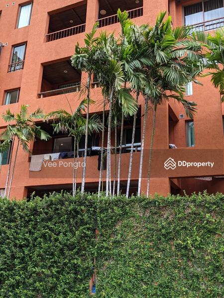 ขาย - Las Tortugas Condo : ลาส ตอร์ตูกัส คอนโด, ประจวบคีรีขันธ์