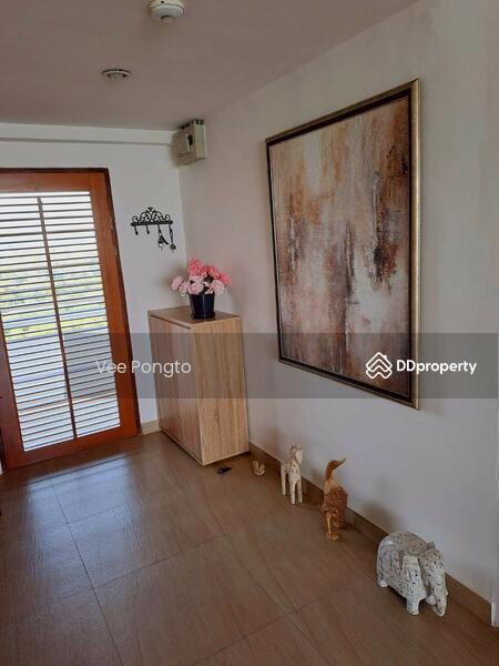 ขาย - Milford Paradise : มิลฟอร์ด พาราไดซ์, ประจวบคีรีขันธ์