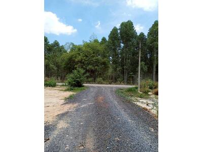 ขาย - ขายที่ดินเปล่า 388 ตารางวา เขาพระ นครนายก, นครนายก