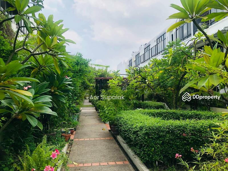 ให้เช่า - Garden House Rama 3 : การ์เด้น เฮ้าส์ พระราม 3, กรุงเทพ