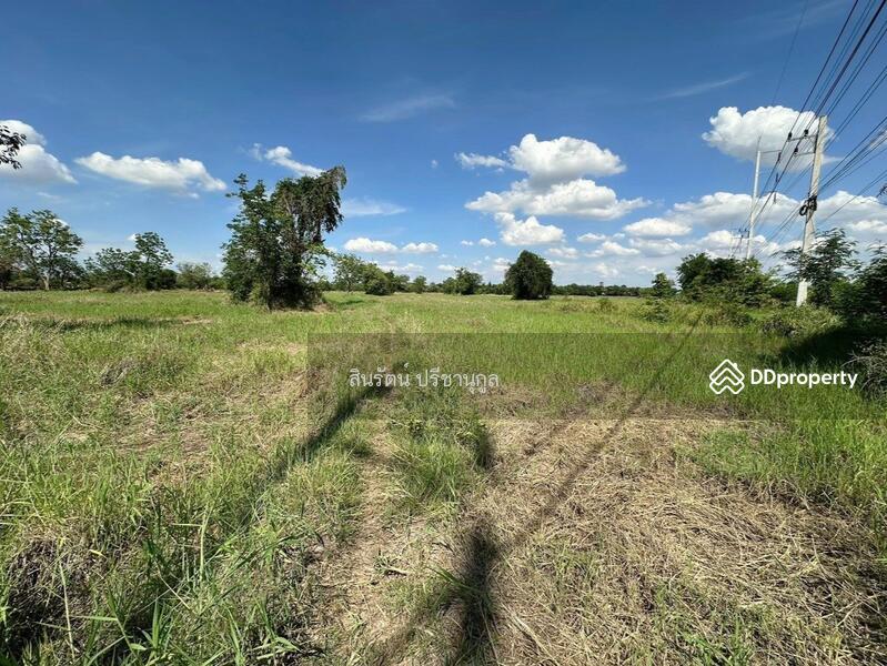 For Sale - ที่ดิน อำเภอโนนไทย, Nakhon Ratchasima