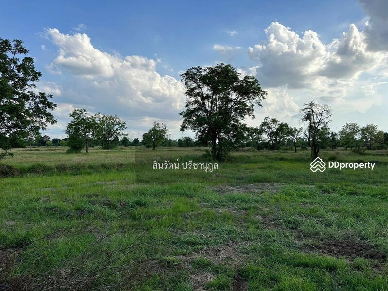 ขาย - ที่ดิน อำเภอโนนไทย, นครราชสีมา