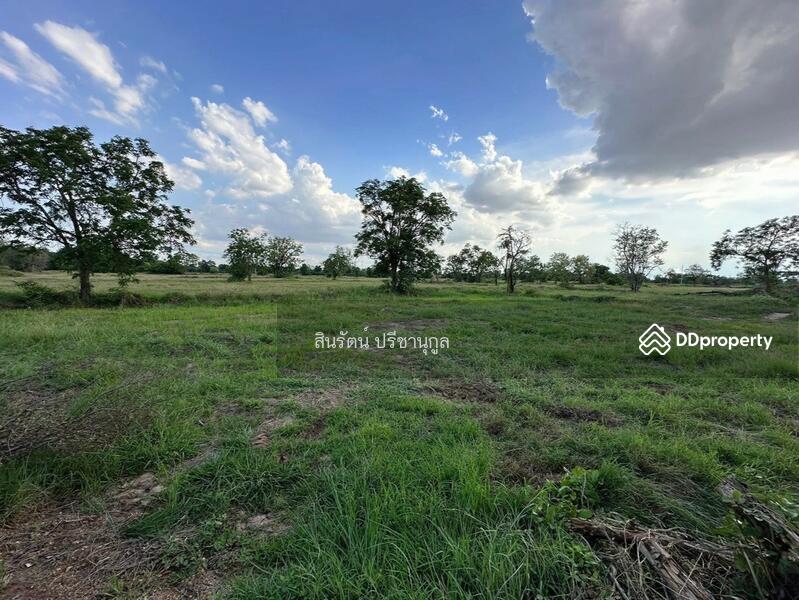 ขาย - ที่ดิน อำเภอโนนไทย, นครราชสีมา