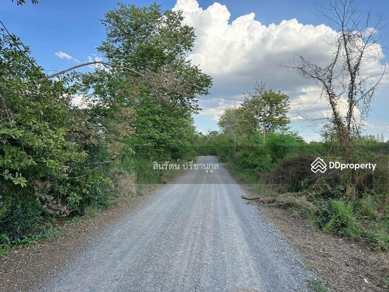 For Sale - ที่ดิน อำเภอโนนไทย, Nakhon Ratchasima