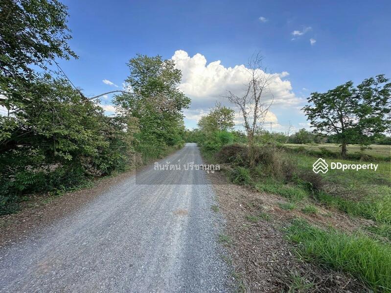For Sale - ที่ดิน อำเภอโนนไทย, Nakhon Ratchasima