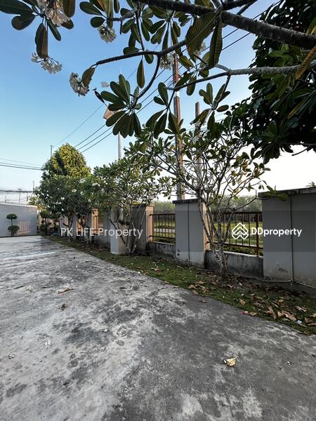 For Rent - 12R0468 This house for rent 4 bedroom 2 bathroom 20,000/month at thalang have fully furnished, Phuket