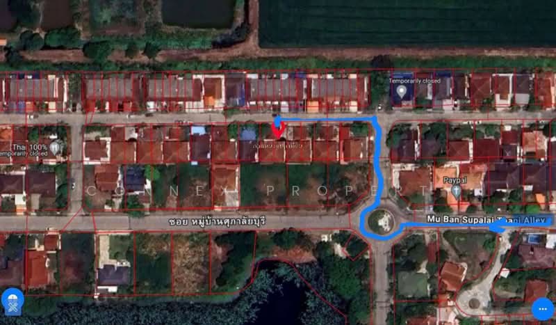 Supalaiburi Klong 4 : ศุภาลัยบุรี คลอง 4, ปทุมธานี, ซ.หมู่บ้านศุภาลัยบุรี, คลองสี่, คลองหลวง, ปทุมธานี, 130 ตร.ม., บ้านเดี่ยว ขาย, โดย Connex Property, 11888926 - DDproperty.com