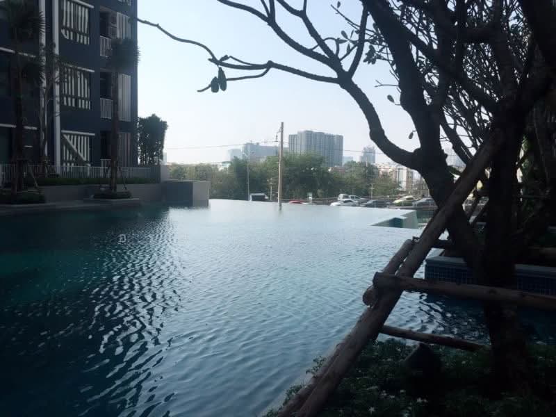 For Rent - Niche Mono Ratchavipha, Bangkok