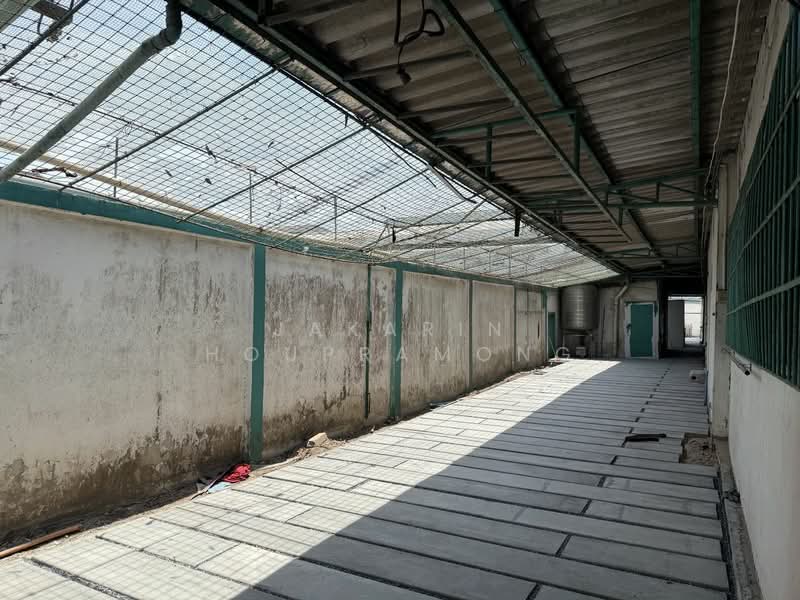 ให้เช่า - ให้เช่าโรงงาน ติดถนนพระราม 2 บางโทรัด อำเภอเมือง สมุทรสาคร พื้นที่ 2.5ไร่, สมุทรสาคร