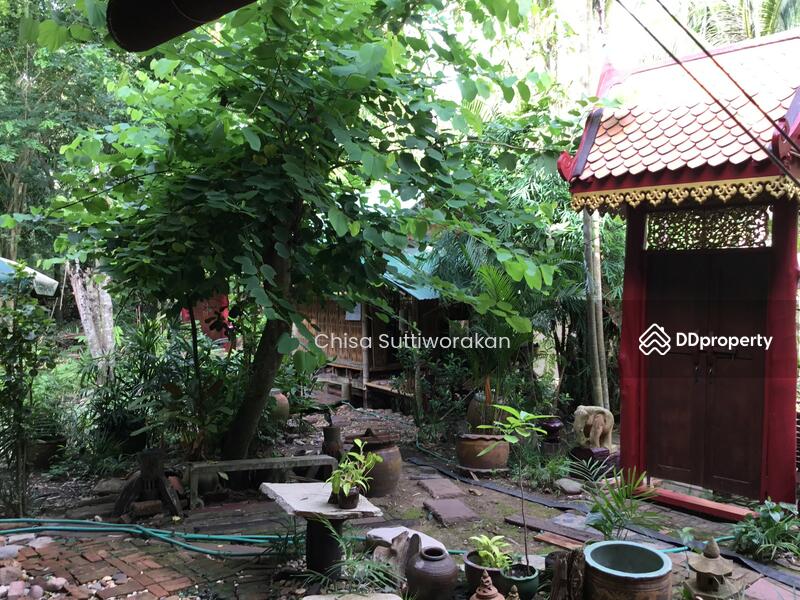 For Sale - อำเภออัมพวา, Samut Songkhram