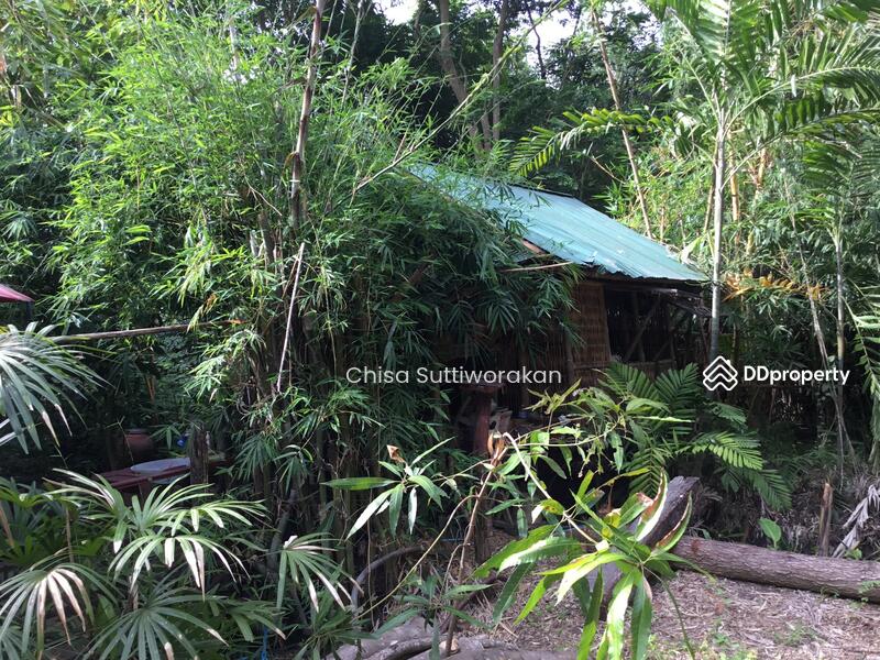 For Sale - อำเภออัมพวา, Samut Songkhram